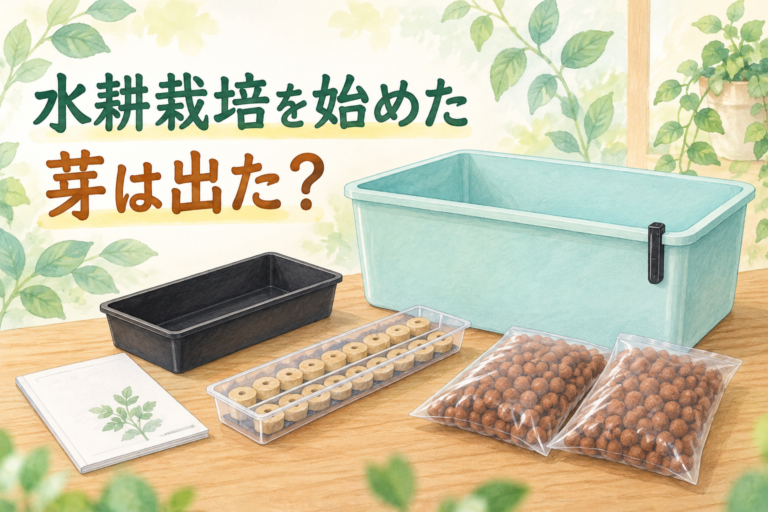 水耕栽培キットのイラスト。ミントブルーの育成容器と育苗トレイ、種まき後の発芽を問いかける見出し